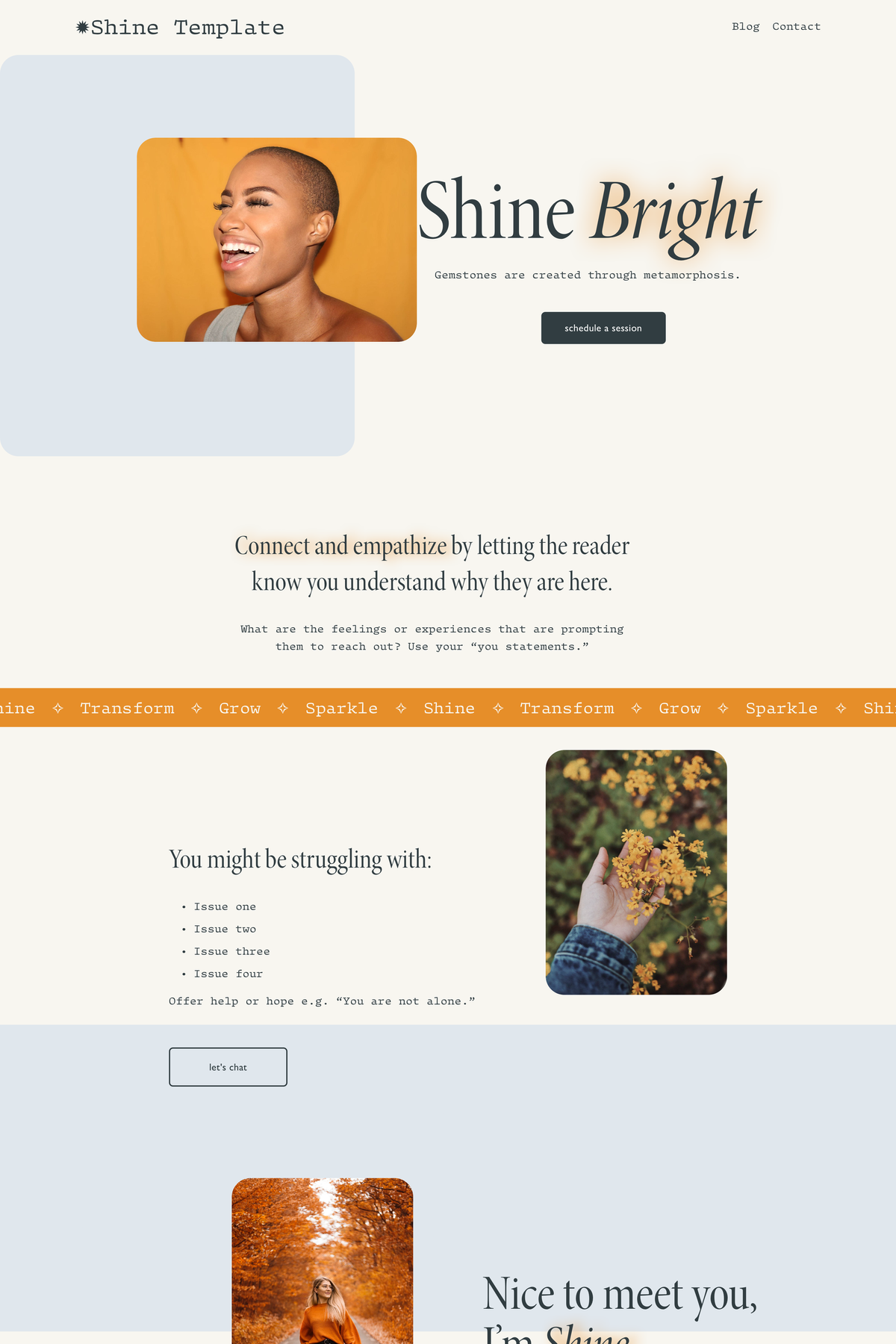 The Shine Squarespace Template